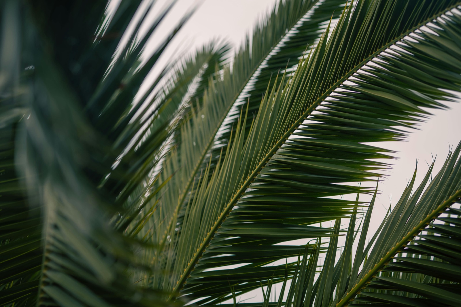 Finding Joy in Everyday Moments: A Practice in Gratitude